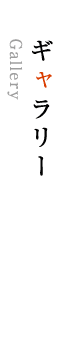 ギャラリー